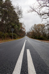 Obraz premium Highway to infinity. a straight asphalt in a forest on a cloudy winter day