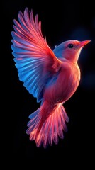 Obraz premium A vividly colored bird in mid-flight, showcasing vibrant pink and blue feathers.