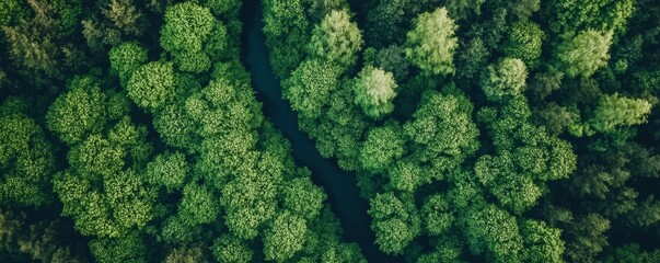 Naklejka premium Aerial view of beautiful natural shapes and textures