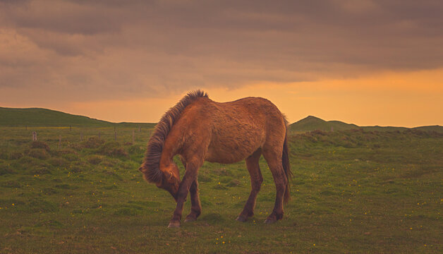 Iceland