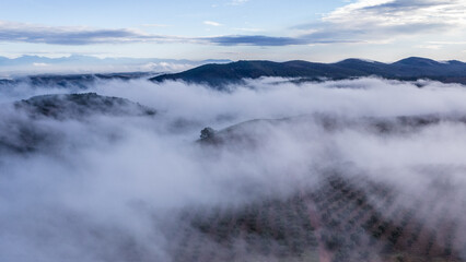Villuercas Ibores Jara, Villuercas