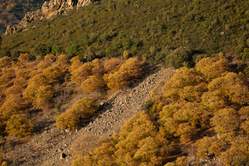 Geoparque Villuercas Ibores Jara