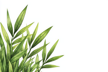 Fototapeta premium Lush green leaves in minimal watercolor style, perfect for nature lovers