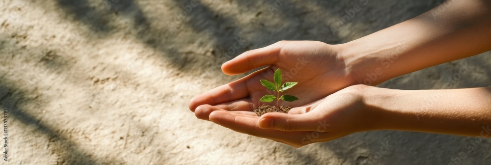 Poster hands carefully cradle a tiny seedling, showcasing a commitment to nurturing new life in a bright ou