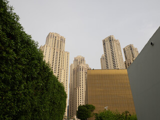 Fototapeta premium Rascacielos en Dubai Marina, en Dubai, Emiratos Árabes Unidos
