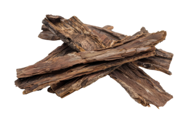 Arjuna Herbal Bark Isolated on Transparent Background