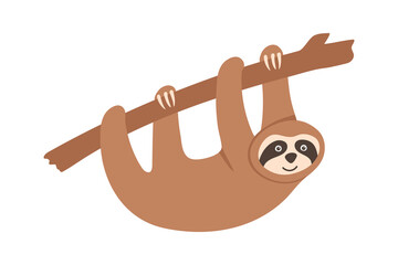 Hand drawn sloth hanging on wooden branch. Funny tropical bear character