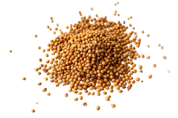 Brown Mustard Seed Isolated on Transparent Background