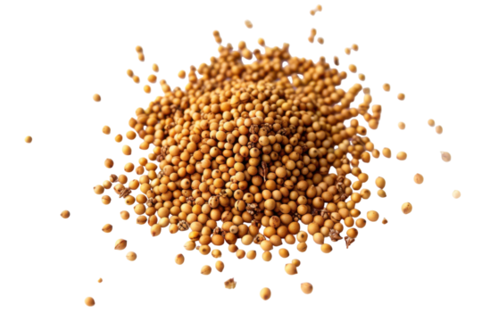 Brown Mustard Seed Isolated on Transparent Background
