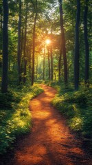 Obraz premium A serene forest path illuminated by sunlight, inviting exploration and tranquility.