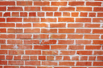 Obraz premium Brick Wall Texture