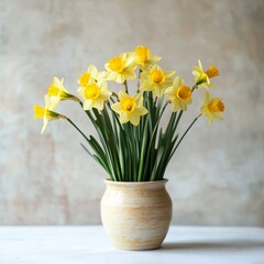 Yellow daffodils in ceramic pot on white table