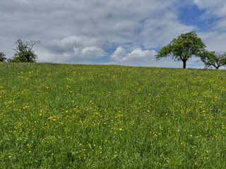 Aktuelle Situation des Klimawandels in Europa