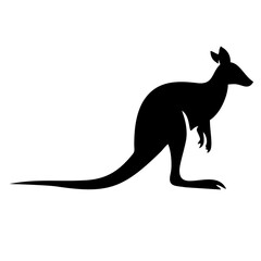 kangaroo 