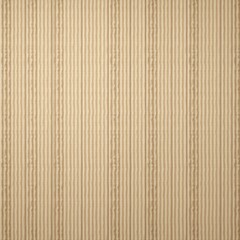 Fototapeta premium Light Wood Texture Background Surface With Old Natural Pattern. Wood Texture. Wood Texture For Design And Decoration