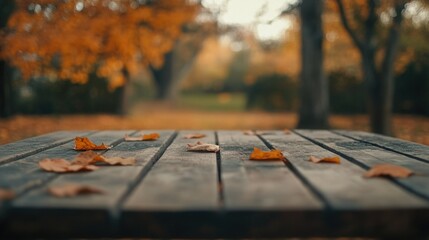 Autumn Leaves on Bench
