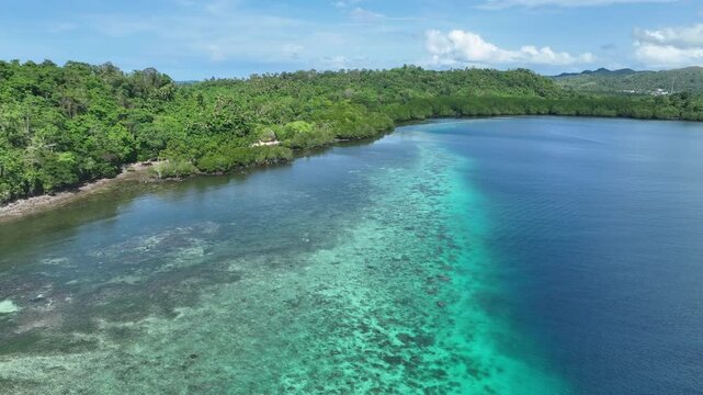 The scenic island of Bangka, just north of Sulawesi in Indonesia, is fringed by healthy coral reefs and mangroves. This area is part of the Coral Triangle and harbors astounding marine biodiversity.