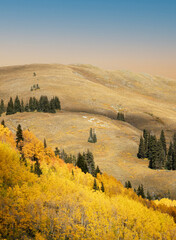 Fototapeta premium Golden Fall Days of Colorado