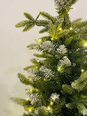 Christmas Tree Branches and Lights