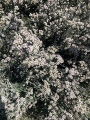 texture
