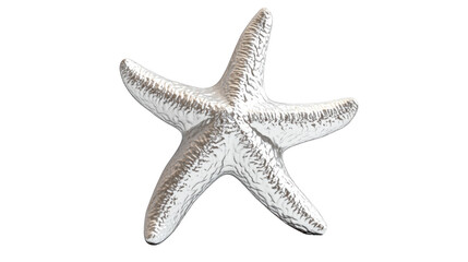 A silver starfish with detailed textures, showcasing its unique shape and form, often used as a decorative or artistic element.