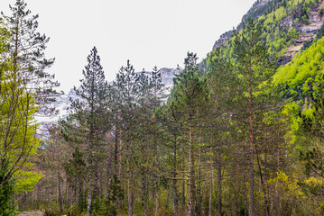 Ordesa and Monte Perdido National Park - Aragonese Pyrenees