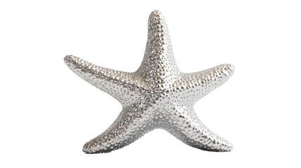 A shiny, silver starfish displayed against a white background, highlighting its unique texture and shape.