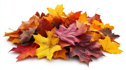 37.Pile of Dry Leaves in Autumn Close-Up