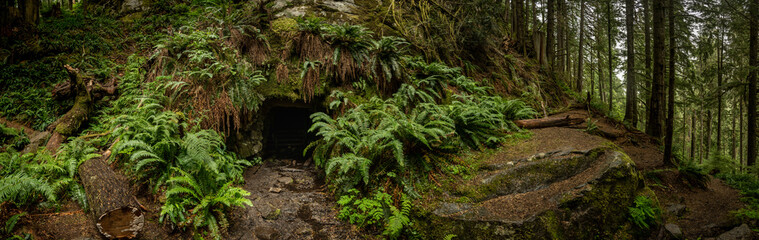 Panorama Of The Old Mine Along The Carbon River Trail In Mount Rainier © kellyvandellen