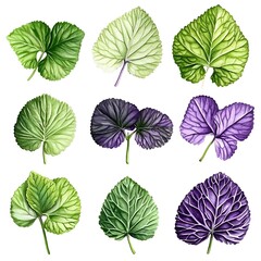 Fototapeta premium Collection of Watercolor-Painted Leaves in Various Shades of Green and Purple.