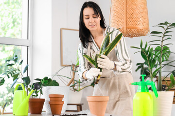 Beautiful young woman with gardening tools taking care of houseplant at home