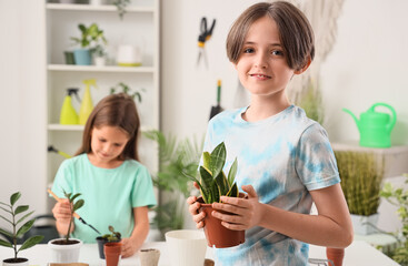 Cute boy with plant in workshop