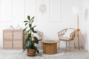 Interior of light living room with armchairs, table and Ficus benjamina