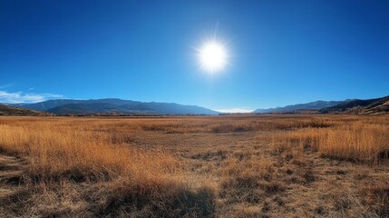 A vast expanse of golden grass stretches across the landscape under a clear blue sky, illuminated by the bright sun. The distant mountains create a stunning backdrop in this serene setting