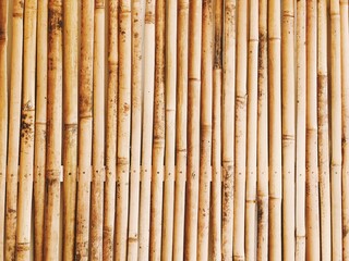 bamboo background