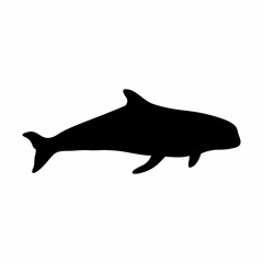 black silhouette of orca whale