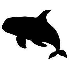 black silhouette of orca whale