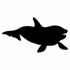 Fototapeta premium black silhouette of orca whale