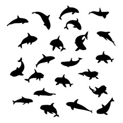 black silhouette of orca whale © Kuldi