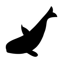 black silhouette of orca whale