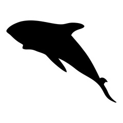 black silhouette of orca whale