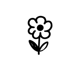 The Exquisite Elegance of Crinum Amaryllis Blooms A Visual Celebration of the Unique, Fresh, and Delicate Beauty of White and Pink Flowers in Full Splendor