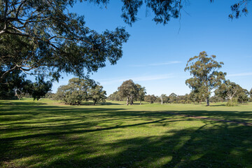 a lush, well-manicured golf course in Australia with an expansive, grassy fairway surrounded by a canopy of mature trees, casting long shadows across the landscape.