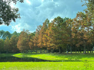 A peaceful park scene with vibrant autumn trees reflected in a calm pond, surrounded by lush green grass and framed by a dramatic, cloud-filled sky.