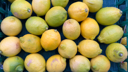 道の駅の売り場の国産レモン