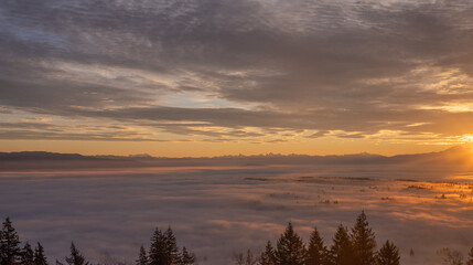 Golden sunrise over Fraser Valley, BC, covered by dense cloud inversion, with alpine mountains on...