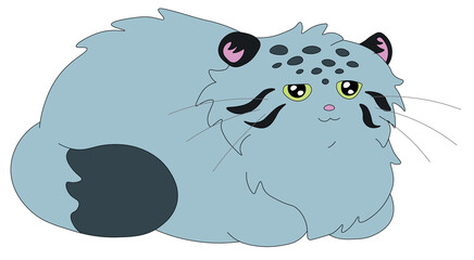 cute wild cat manul smiles contentedly and sits in loaf pose