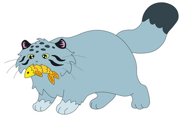cute wild cat manul stands and smiles contentedly and holds a goldfish in his teeth
