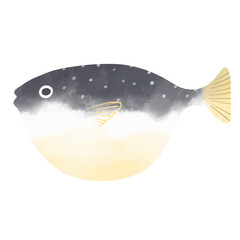 水彩風のデフォルメしたフグ　イラスト © satou  koma