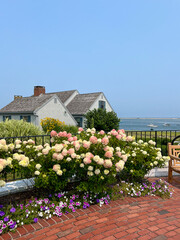 A charming coastal cottage surrounded by vibrant hydrangeas and petunias on a red brick patio, overlooking calm waters and moored boats under a bright blue sky.